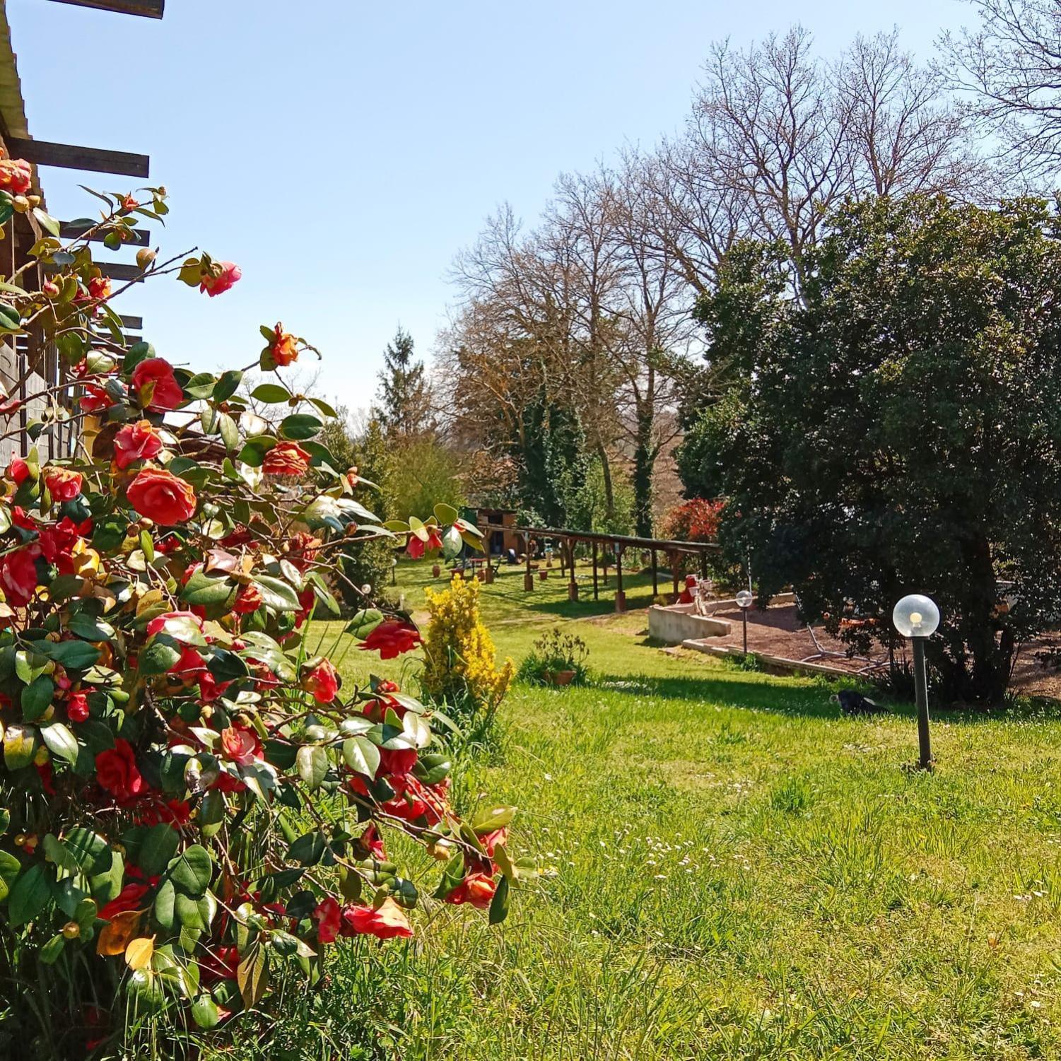 La Grotta Bed And Breakfast Castel Giorgio Exterior photo